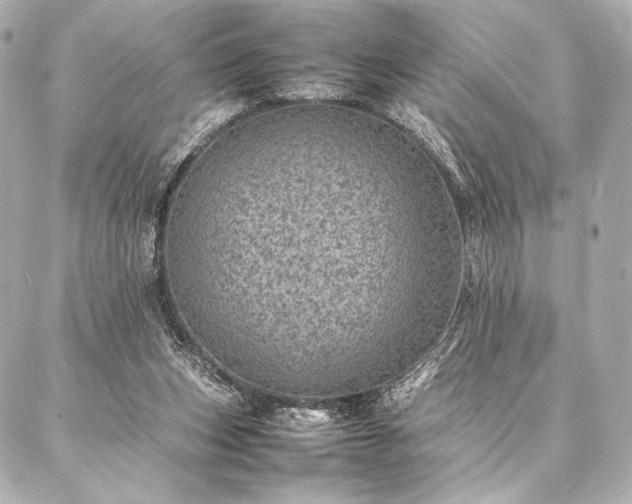 X0000086970159200704231524