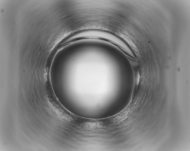 X0000086970160200704231524