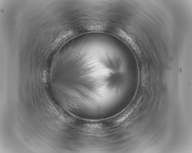 X0000086970161200704231524