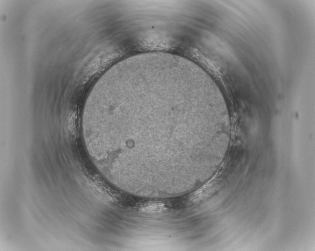 X0000086970162200704231524