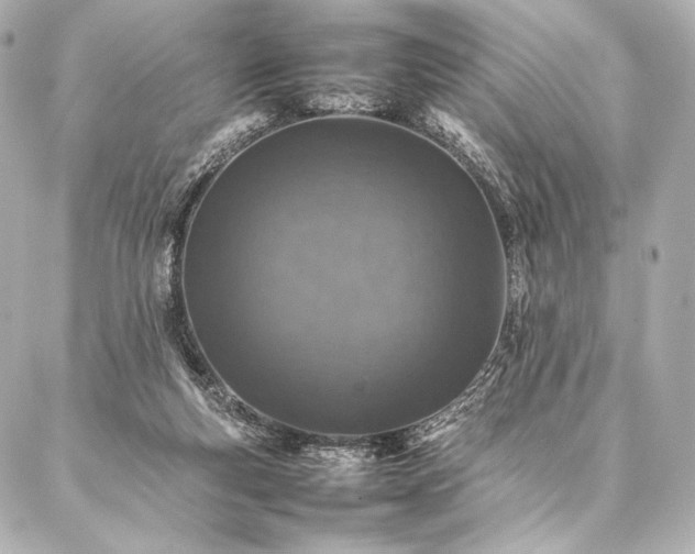 X0000086970163200704231524