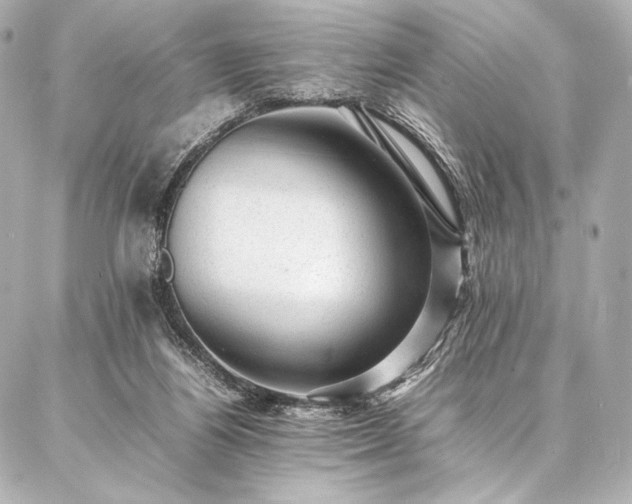 X0000086970164200704231524