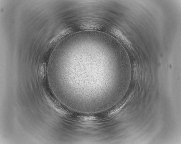 X0000086970165200704231524