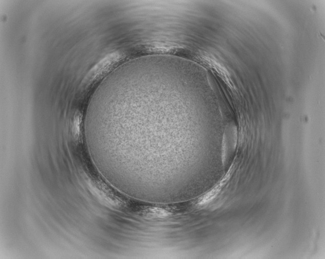 X0000086970166200704231524