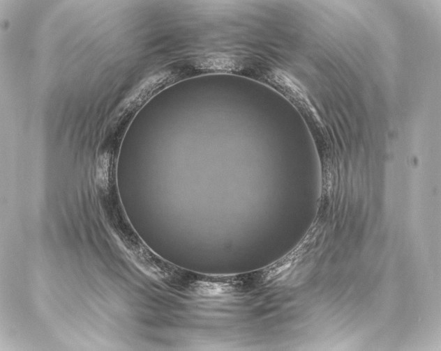 X0000086970167200704231524