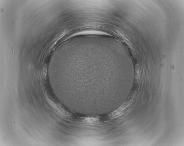 X0000086970168200704231524