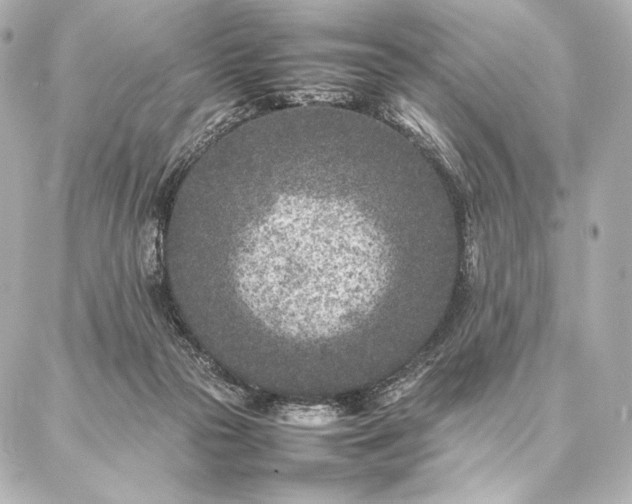 X0000086970169200704231524