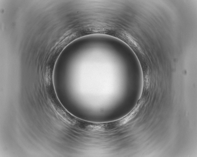 X0000086970170200704231524