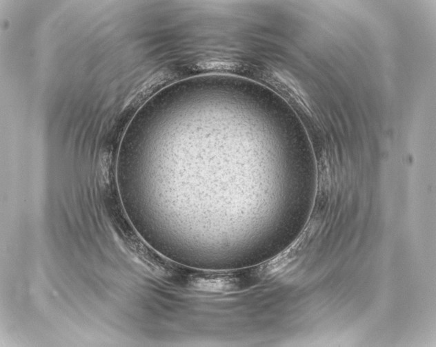 X0000086970171200704231524