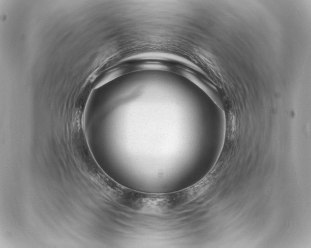 X0000086970172200704231524