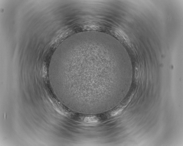 X0000086970173200704231524