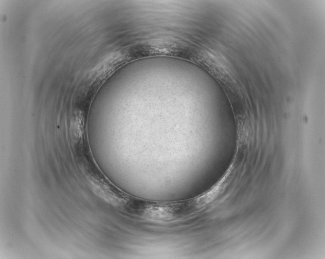 X0000086970174200704231524