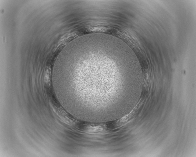 X0000086970175200704231524