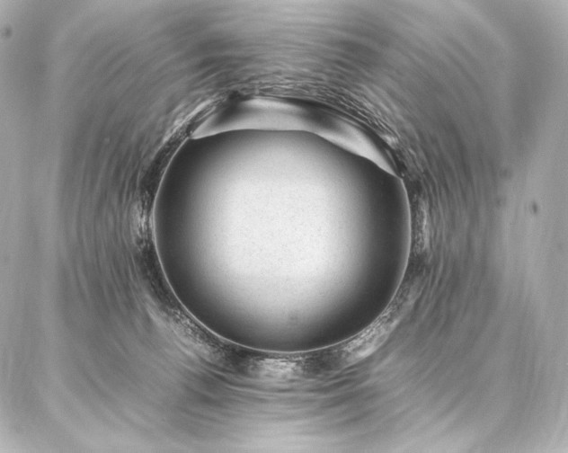 X0000086970176200704231524