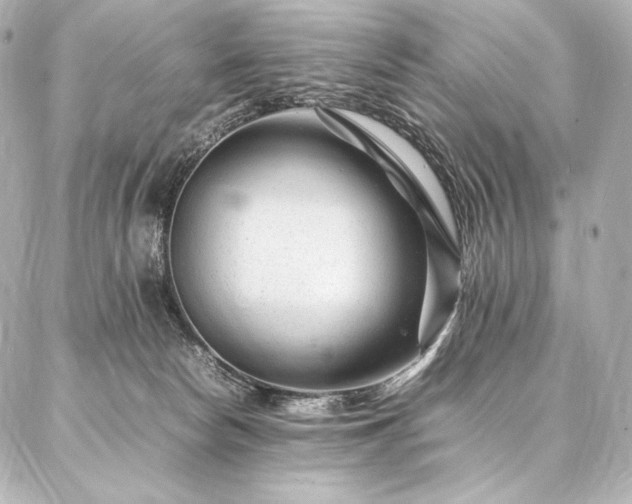 X0000086970178200704231524