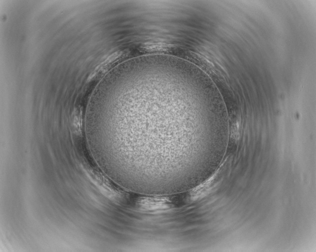 X0000086970179200704231524