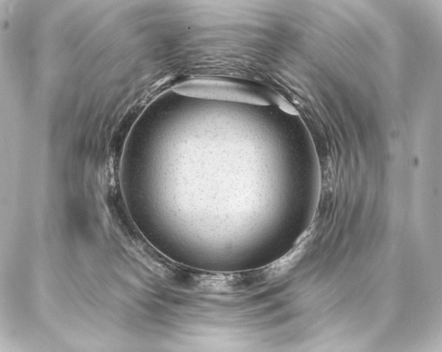 X0000086970182200704231525