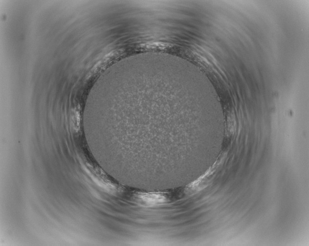 X0000086970183200704231525