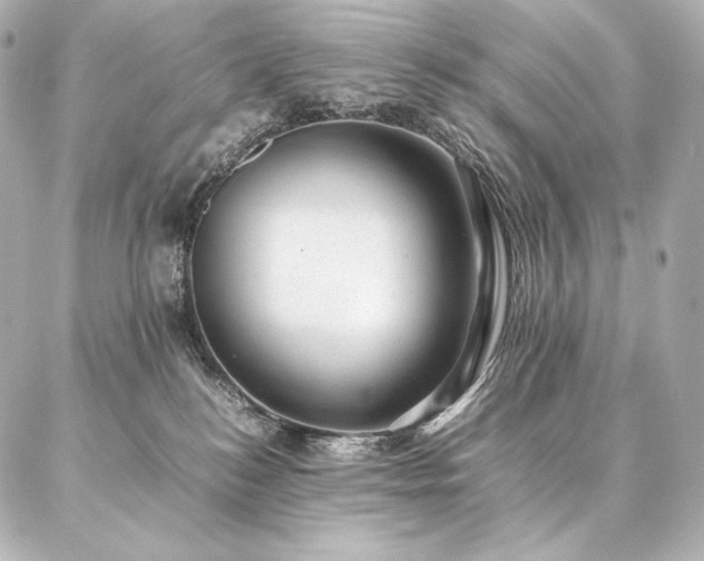 X0000086970184200704231525