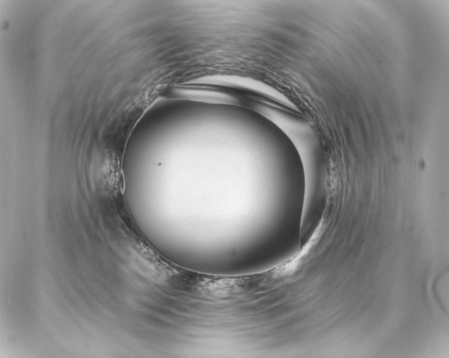 X0000086970186200704231525