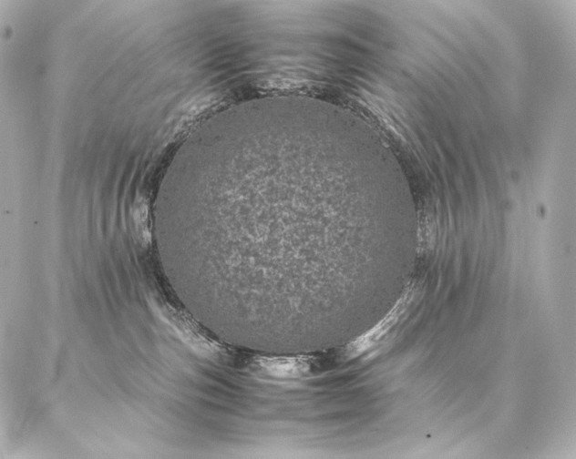 X0000086970187200704231525