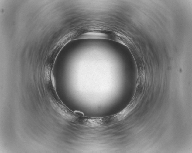 X0000086970188200704231525