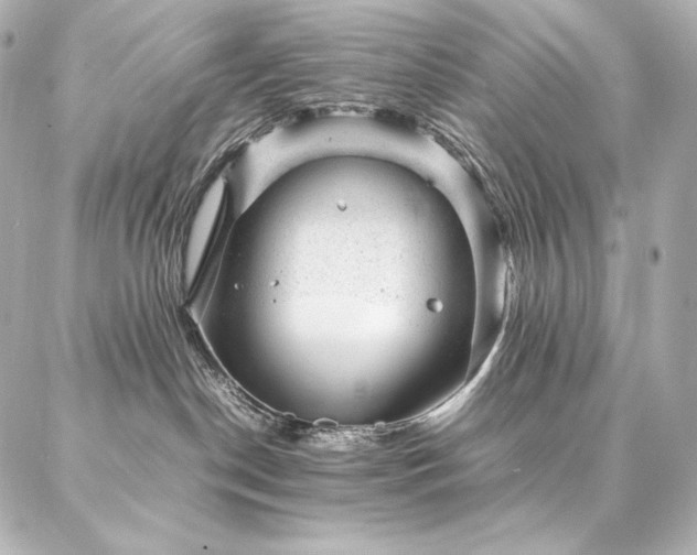 X0000086970190200704231525