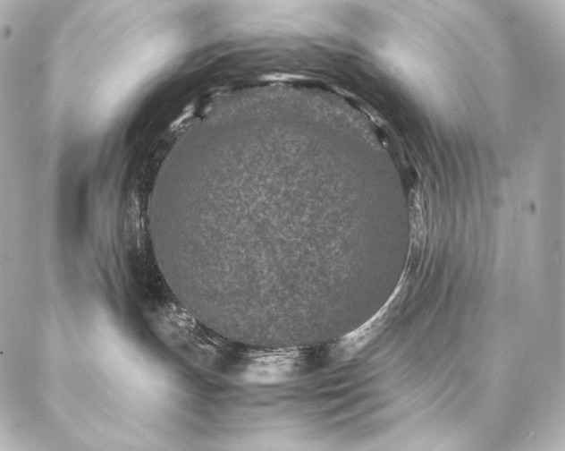 X0000086970191200704231525