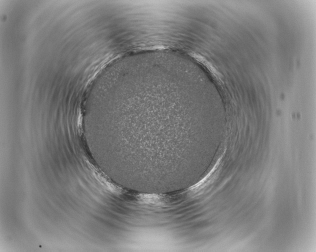 X0000086970192200704231525