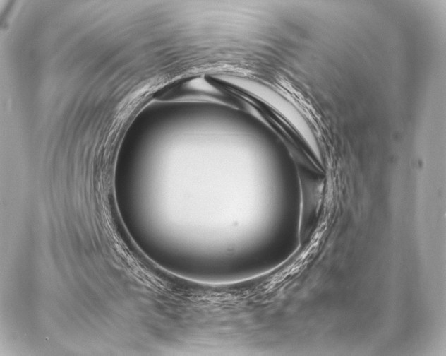 X0000086970193200704231524