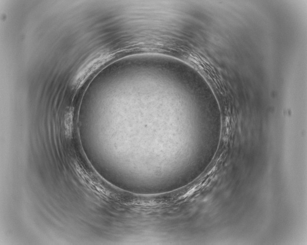 X0000086970194200704231524