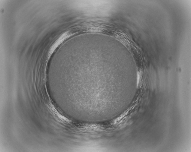 X0000086970195200704231524