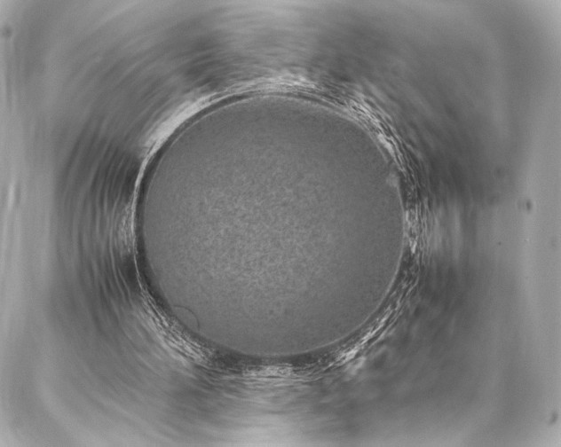 X0000086970196200704231524