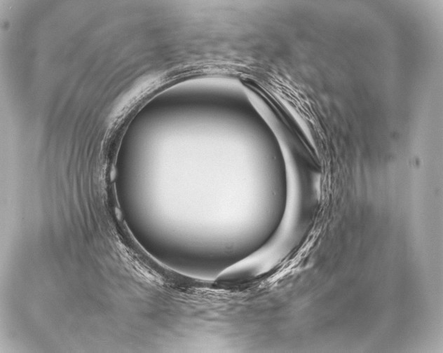 X0000086970197200704231524