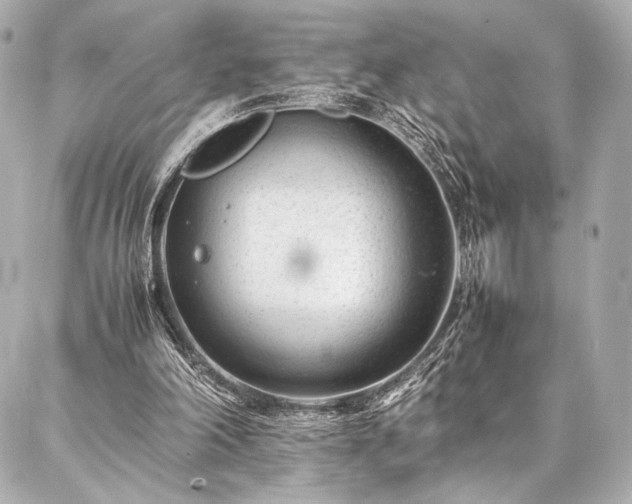 X0000086970198200704231524