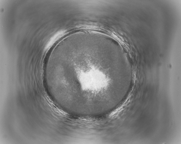 X0000086970199200704231524