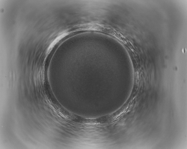 X0000086970200200704231524