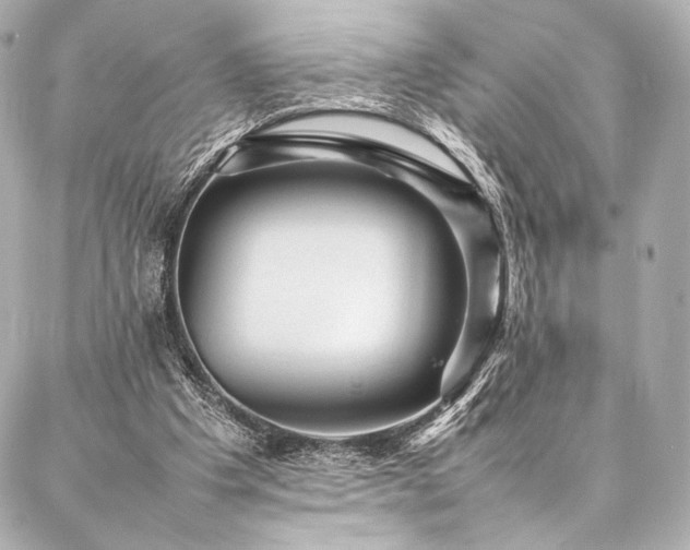 X0000086970201200704231524