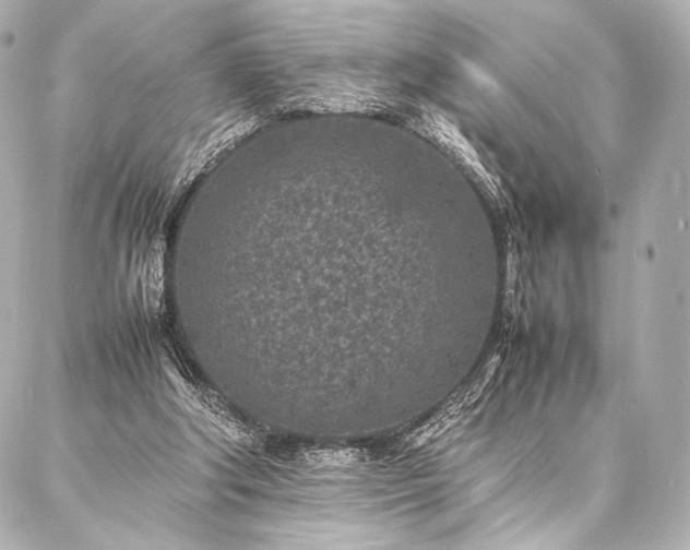 X0000086970202200704231524