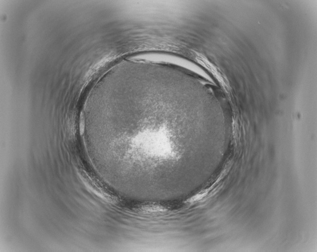 X0000086970203200704231524