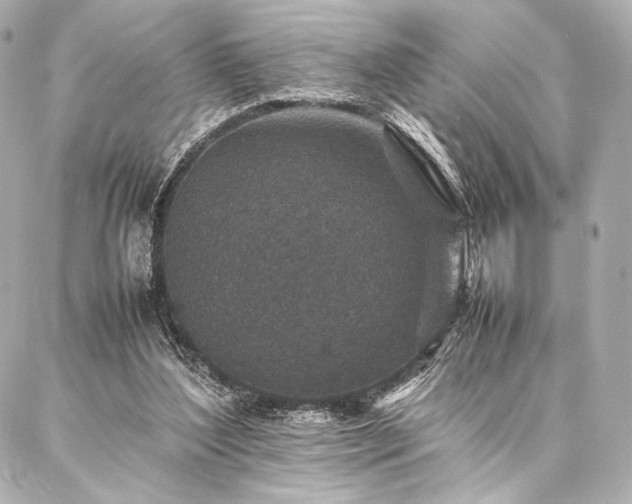 X0000086970204200704231524