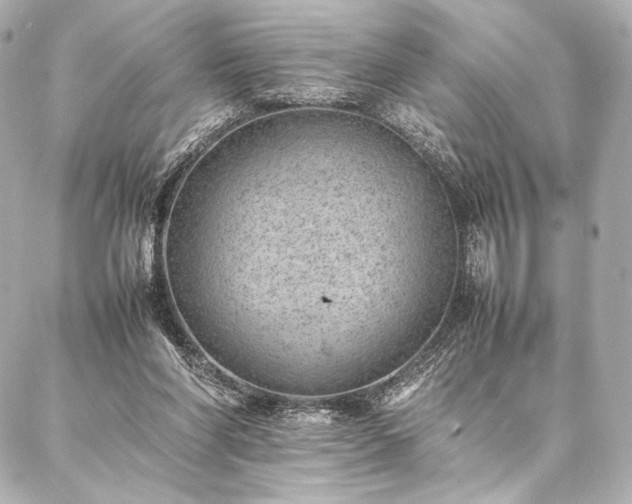 X0000086970206200704231524