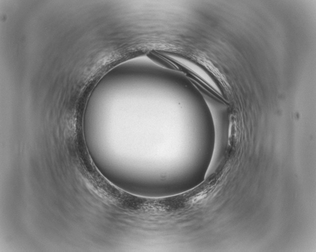 X0000086970207200704231524