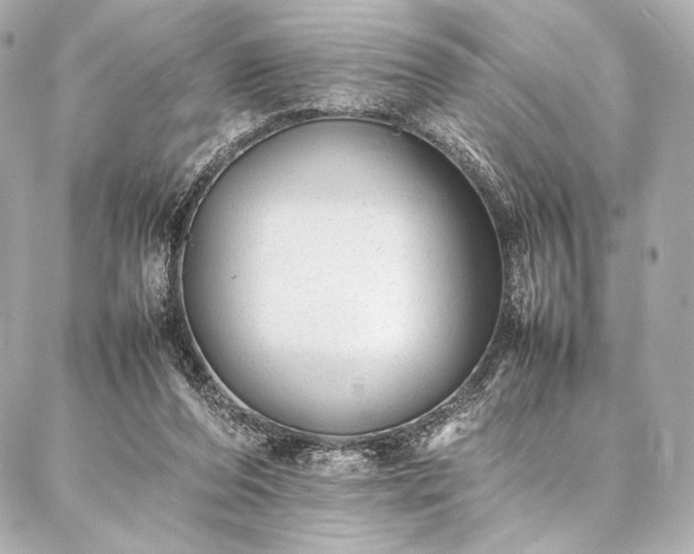 X0000086970208200704231524