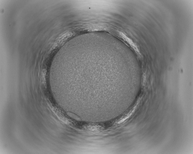 X0000086970209200704231524