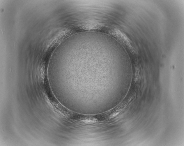 X0000086970210200704231524