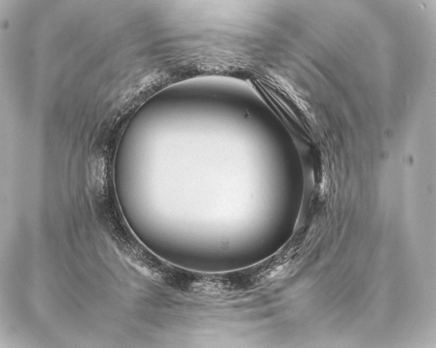 X0000086970211200704231524