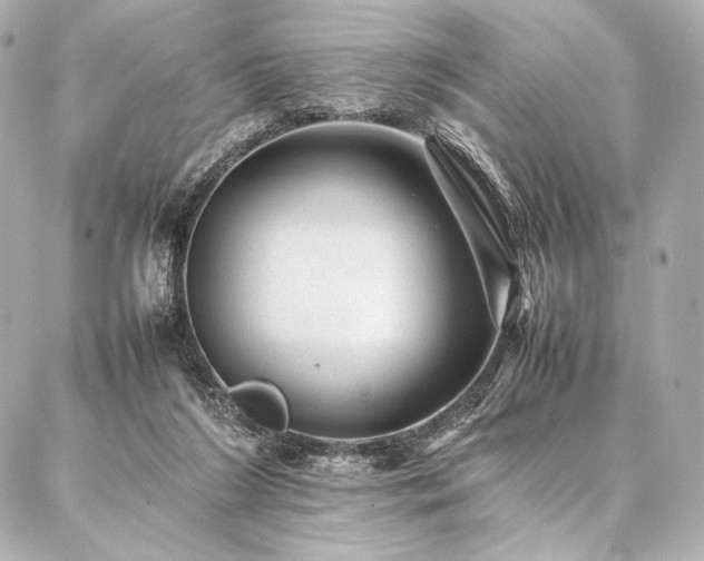 X0000086970212200704231524