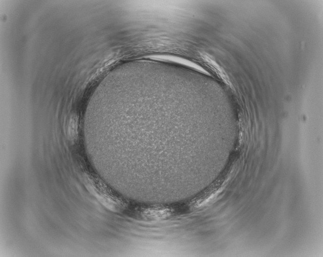 X0000086970213200704231524