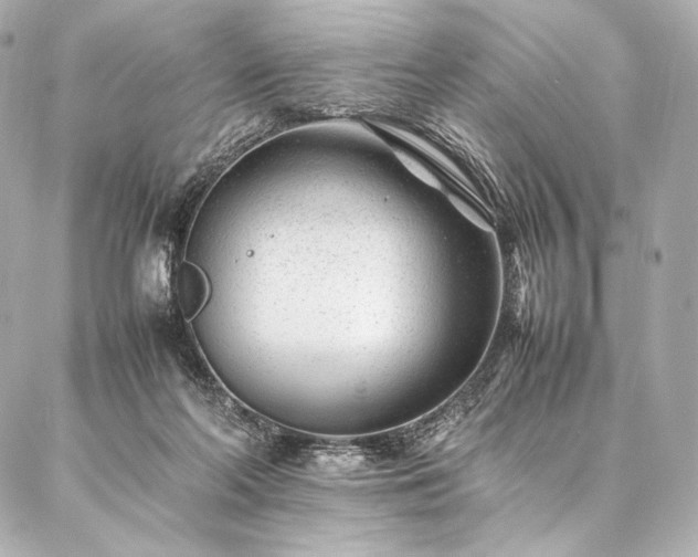 X0000086970214200704231524